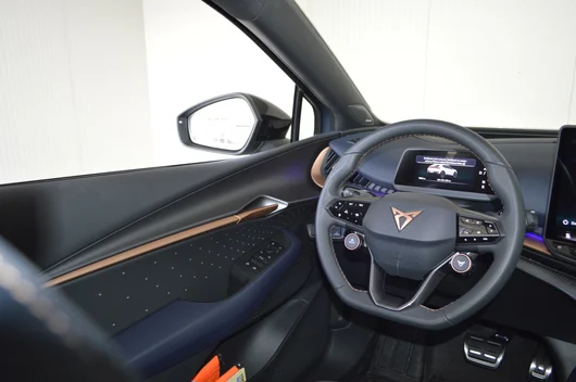 Bild eines Tavascan VZ Adrenaline 4Drive250kW/340PS