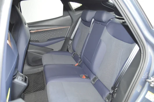 Bild eines Tavascan VZ Adrenaline 4Drive250kW/340PS