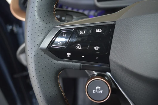 Bild eines Tavascan VZ Adrenaline 4Drive250kW/340PS