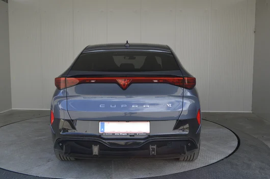 Bild eines Tavascan VZ Adrenaline 4Drive250kW/340PS