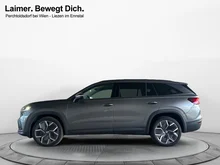 Škoda Kodiaq 4x4 Selection TDI DSG in Graphit-Grau Metallic