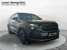 Škoda Kodiaq 4x4 Selection TDI DSG in Graphit-Grau Metallic