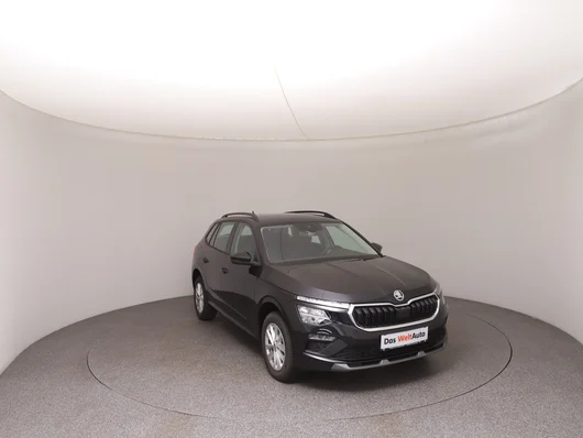 Bild eines Škoda Kamiq Selection TSI