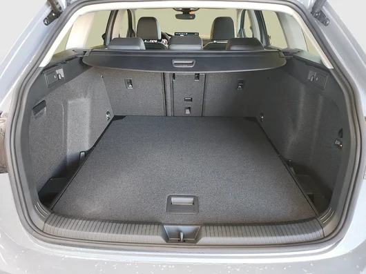 Bild eines Golf Variant Business TDI