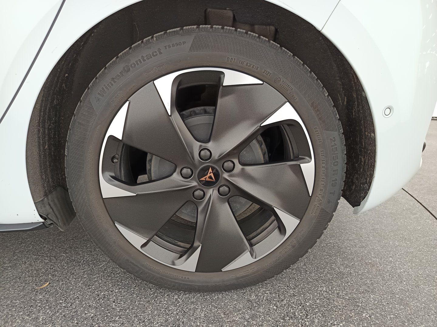 SEAT Born 77 e-Boost 170kW/231PS | Bild 9 von 35