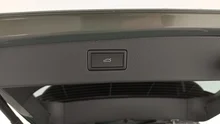 VW Tiguan Friends eTSI DSG in Cipressino-Grün Metallic