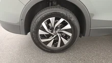 VW Tiguan Friends eTSI DSG in Cipressino-Grün Metallic