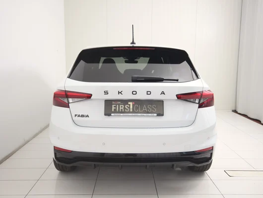 Bild eines Fabia Monte Carlo TSI