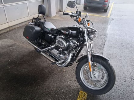 Harley-Davidson Sportster XL / XR SPORTSTER 1200 Custom