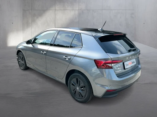 Bild eines Škoda Fabia Selection TSI