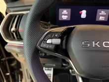 Škoda Kodiaq RS 4x4 TSI DSG in Black-Magic Perleffekt