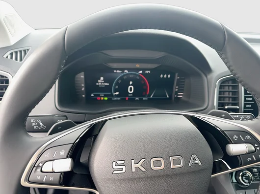Bild eines Karoq 4x4 Selection TDI DSG