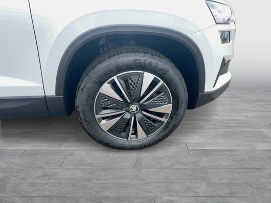 Bild eines Karoq 4x4 Selection TDI DSG