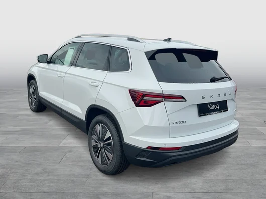 Bild eines Karoq 4x4 Selection TDI DSG