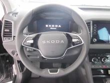 Škoda Karoq 4x4 Selection TDI DSG in Smokey Diamond-Silber Metallic