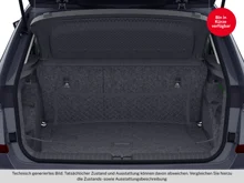 Škoda Kamiq Selection TSI DSG in Graphit-Grau Metallic