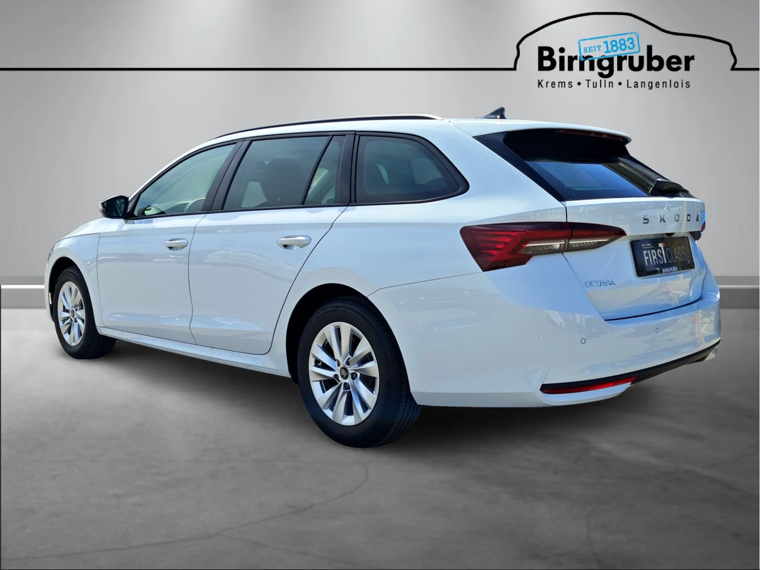 Bild eines Octavia Combi Selection TSI mHEV DSG