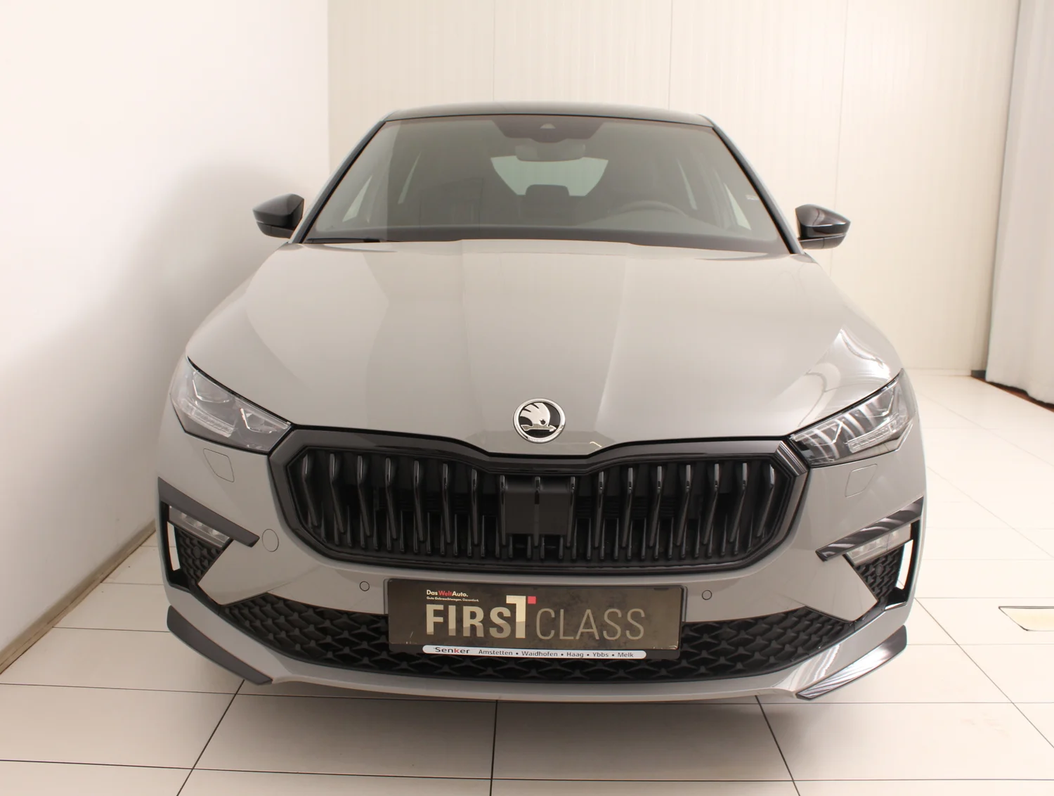 Bild eines Scala Monte Carlo TSI DSG