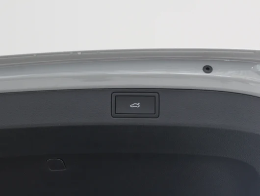 Bild eines Scala Monte Carlo TSI DSG