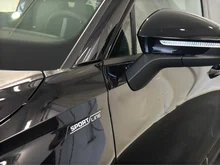 Škoda Kodiaq 4x4 Sportline TDI DSG in Black-Magic Perleffekt