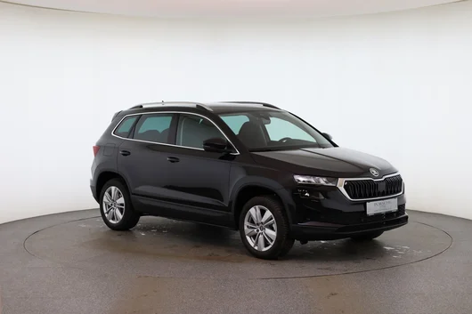 Bild eines Škoda Karoq 4x4 Selection TDI DSG