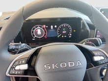 Škoda Kodiaq 4x4 Selection TDI DSG in Bronx-Gold Metallic