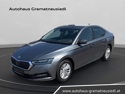 Škoda OCTAVIA Ambition TDI DSG