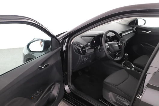 Bild eines Škoda Fabia Selection TSI