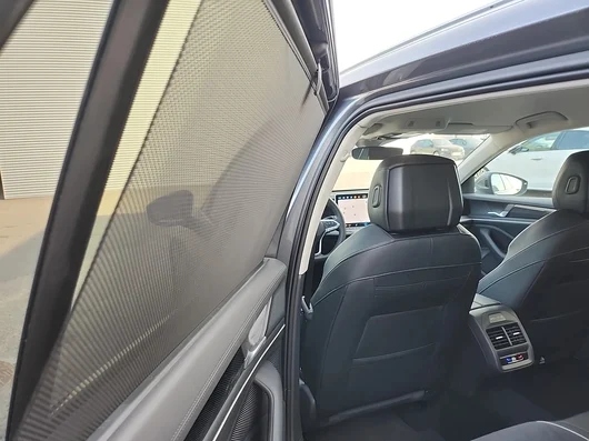Bild eines Passat Variant Business TDI DSG