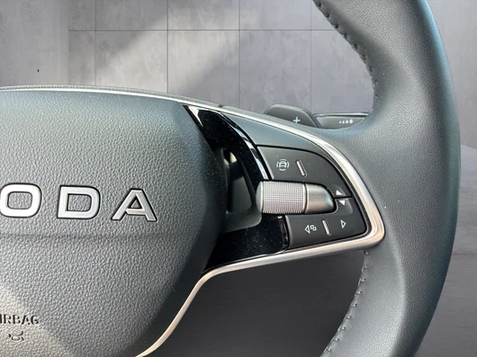 Bild eines Škoda Octavia Combi Selection TSI mHEV DSG
