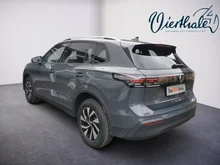 VW Tiguan Friends TDI 4MOTION DSG in Delfingrau Metallic