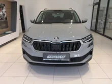 Škoda Karoq 4x4 Selection TDI DSG in Stahl-Grau