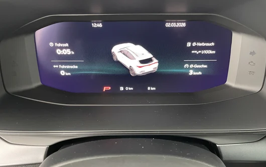 Bild eines CUPRA Formentor VZ EXTREME 333 PS DSG 4Drive