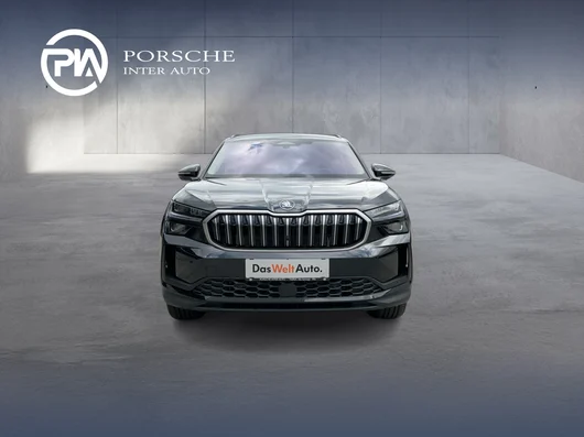 Bild eines Škoda Kodiaq 4x4 Selection TDI DSG