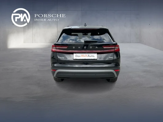 Bild eines Škoda Kodiaq 4x4 Selection TDI DSG