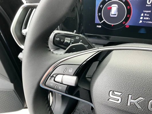 Bild eines Škoda Kodiaq 4x4 Selection TDI DSG