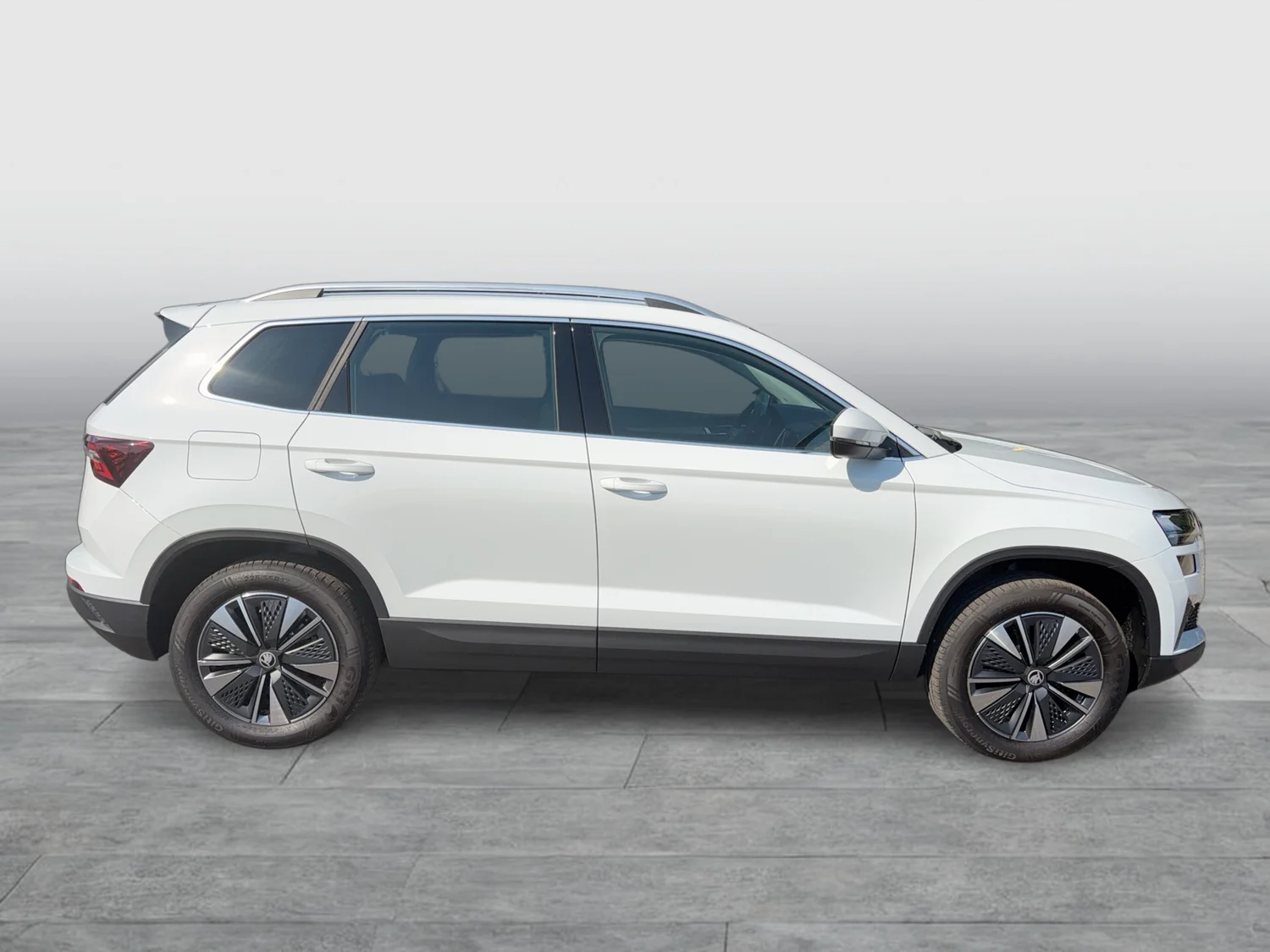 Bild eines Karoq 4x4 Selection TDI DSG