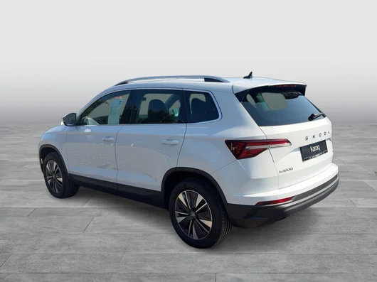 Bild eines Karoq 4x4 Selection TDI DSG