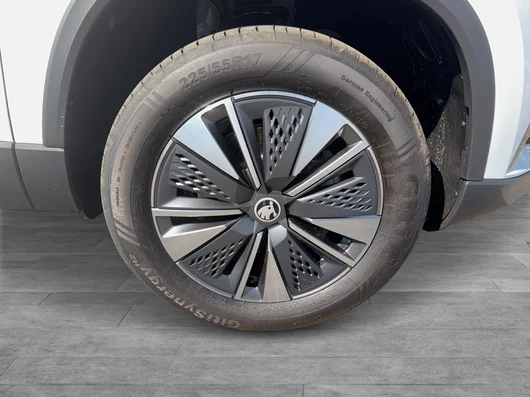 Bild eines Karoq 4x4 Selection TDI DSG