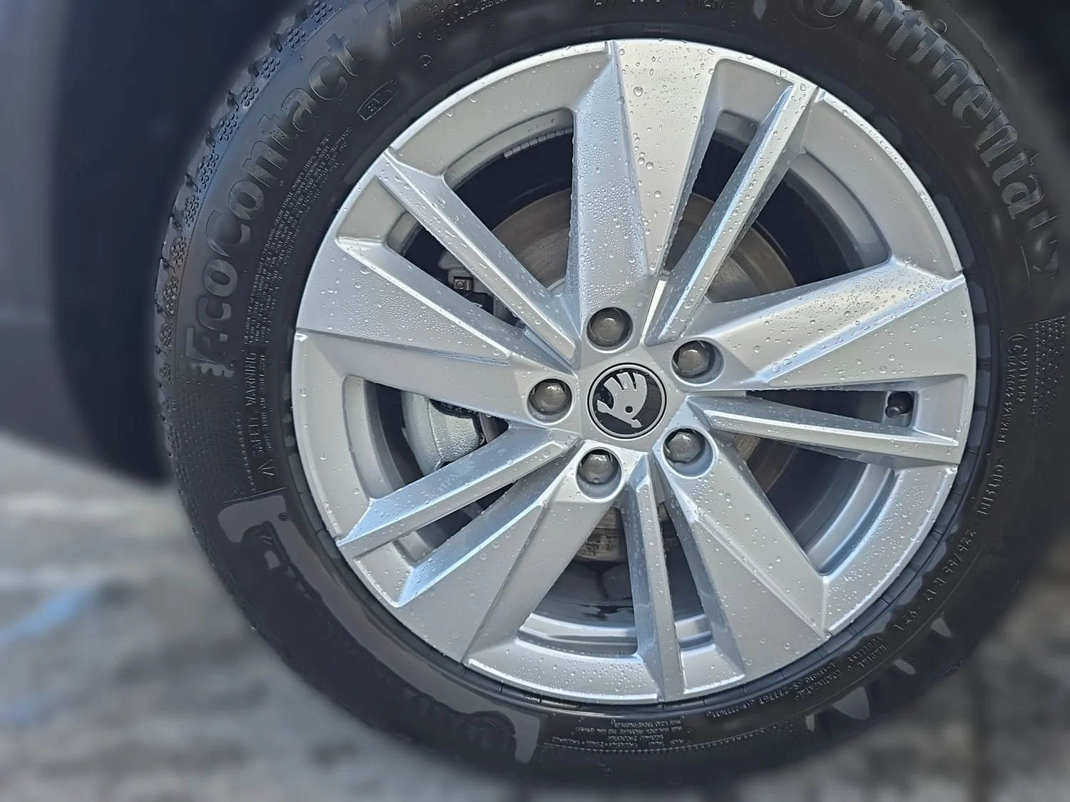 Bild eines Škoda Karoq 4x4 Selection TDI DSG
