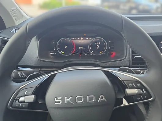 Bild eines Škoda Karoq 4x4 Selection TDI DSG