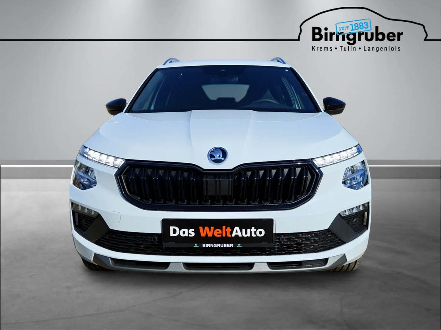 Bild eines Kamiq Selection TSI DSG