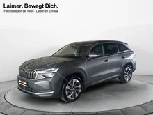 Škoda Kodiaq 4x4 Selection TDI DSG in Graphit-Grau Metallic