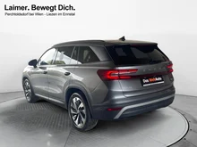 Škoda Kodiaq 4x4 Selection TDI DSG in Graphit-Grau Metallic