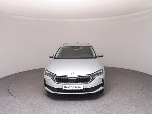 Bild eines Škoda Octavia Combi Selection TDI