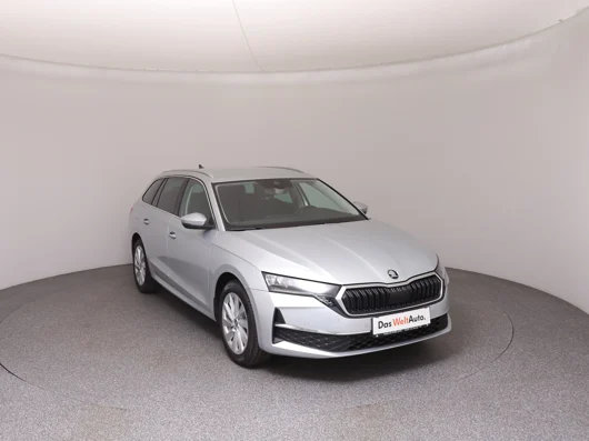 Bild eines Škoda Octavia Combi Selection TDI