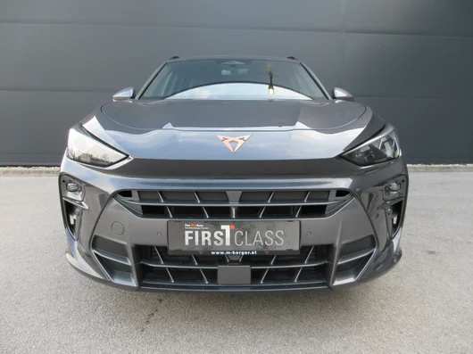 Bild eines Terramar 1.5 e-TSI 150 PS DSG