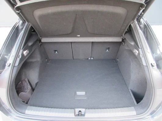 Bild eines Terramar 1.5 e-TSI 150 PS DSG