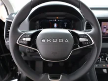 Škoda Karoq Selection TDI in Black-Magic Perleffekt