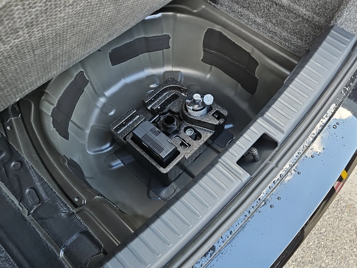 Bild eines Ibiza FR Edition 1.0 TSI 95PS